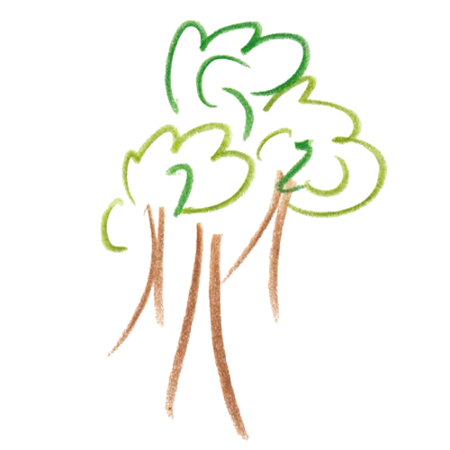 Simple tree illustration in green and brown tones
