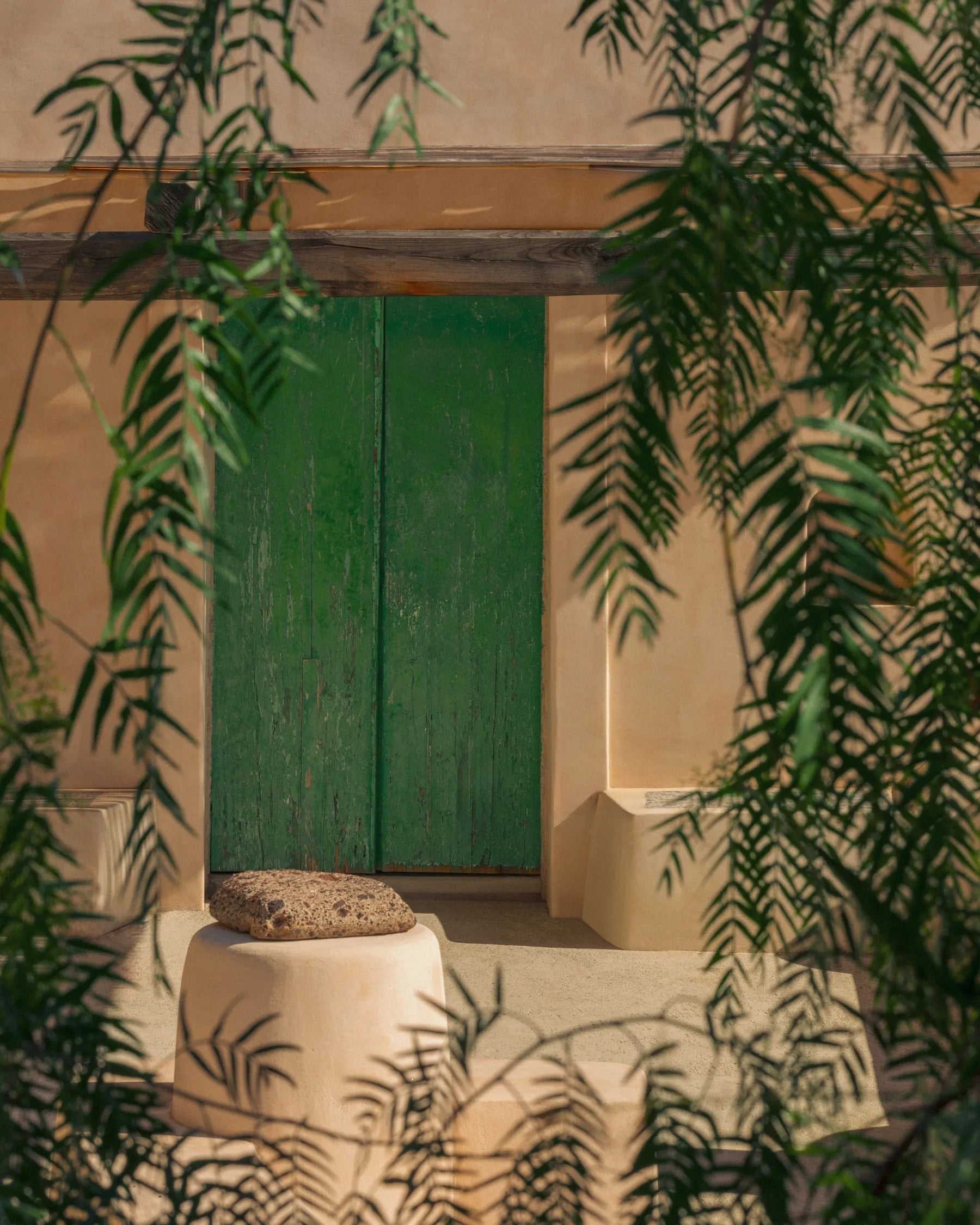 Mediterranean doorway framed by greenery in warm natural light