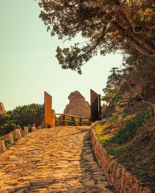 Stone pathway leading to Casa Scalesciani through Mediterranean vegetation in Sardinia.