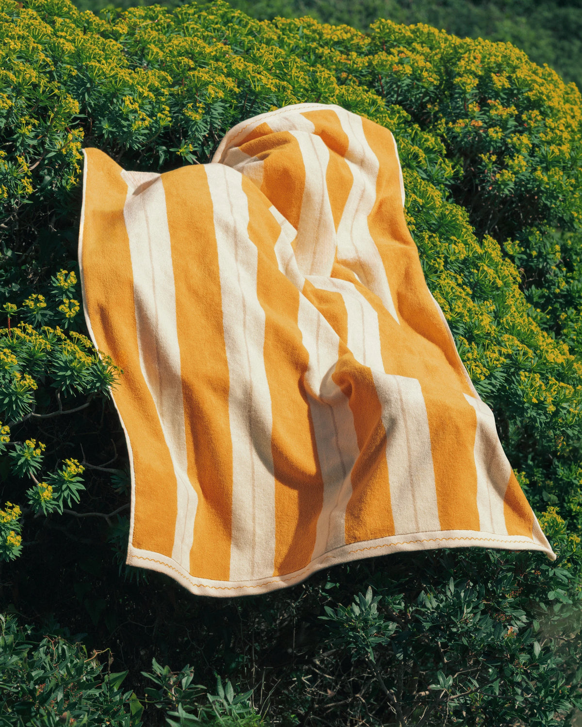 Anne Beach Towel in Tuscan Sun draped over Mediterranean vegetation in Sardinia.