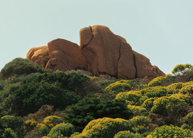 Coastal rock landscape with Mediterranean vegetation and large granite formations