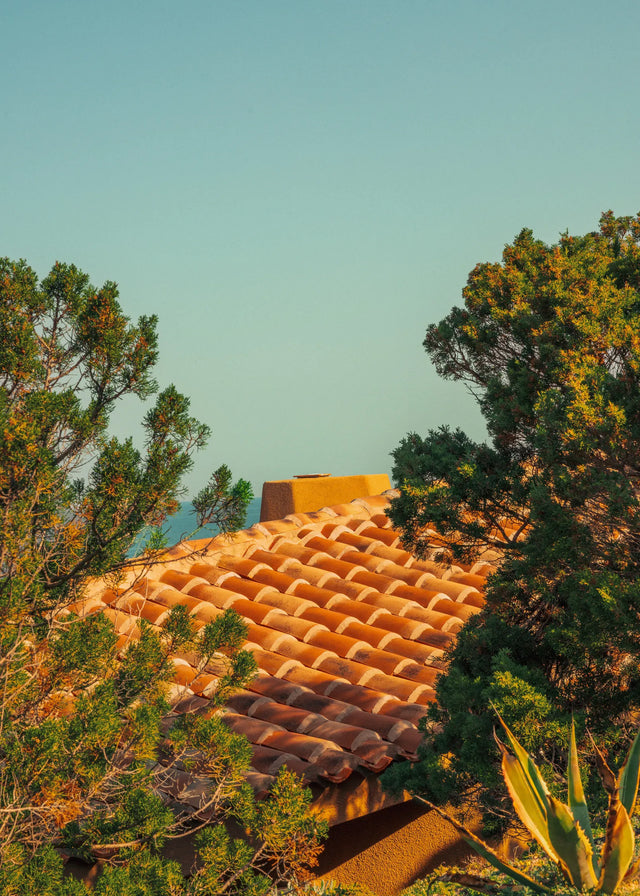 Mediterranean rooftop with terracotta tiles framed by trees and sea view